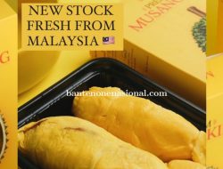 Supplier Wang Durian Super Lezat Fresh Musangking Impor