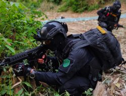 Asah Kemampuan Peterjun Freefall, Prajurit Denpandutaikam Brigif PR 3 Kostrad Latihan Terjun Taktis