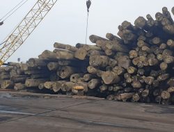 KAYU YANG DIBELI LKM- MASJID RAHMATAN LIL ALAMIN TELAH MERAPAT DI PELABUHAN CIREBON DAN TELAH DIANGKUT MENUJU GUDANG DI ERETAN KULON INDRAMAYU