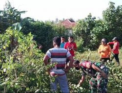 Wujud Kebersamaan,Babinsa Kelurahan Kertosari Koramil 0825/01 Banyuwangi Gelar Karya Bakti Bersama Warga Binaan