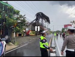 CUACA BURUK, POLDA DIY EVAKUASI BALIHO DAN TIANG LISTRIK ROBOH SERTA POHON TUMBANG.
