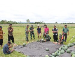 Kedekatan Dandim 0906/Kutai Kartanegara Dengan Para Petani