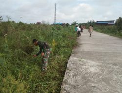 Tradisi Gotong Royong, Babinsa Ajak Warga Bersihkan Rumput Liar
