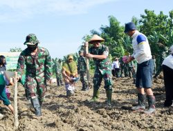 Berkolaborasi dengan Pemkab, Kodim Bojonegoro dukung Ketersediaan Pangan Masyarakat