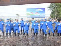 Koarmada III Wilayah Sorong Tanam 3.000 Bibit Mangrove
