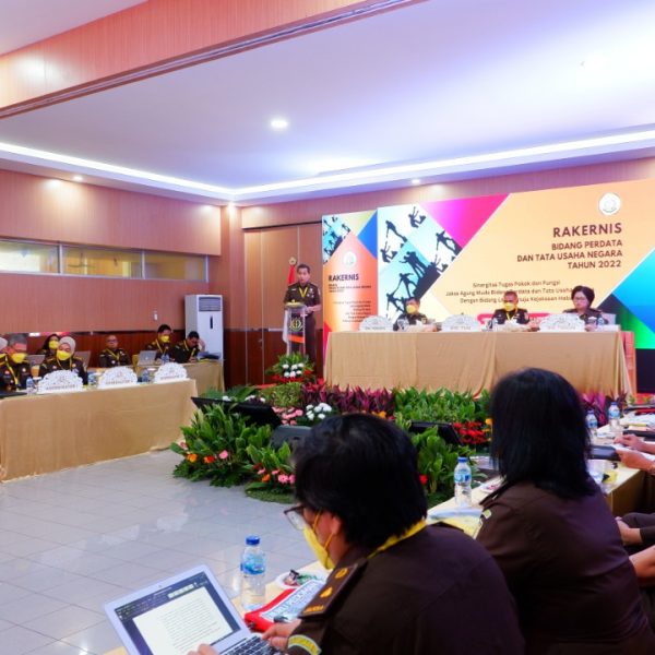 JAKSA AGUNG MUDA PERDATA DAN TATA USAHA NEGARA: PERLUNYA PENGOPTIMALAN JAKSA PENGACARA NEGARA (JPN)
