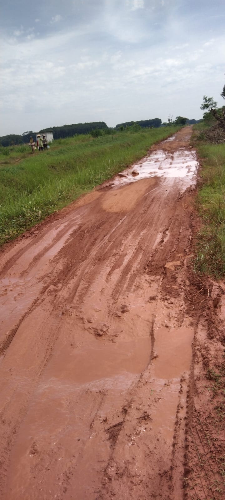 WARGA DESA REJO BINANGUN DAN CEMPAKA KELUHKAN JALAN RUSAK DIHARAPKAN PEMERINTAH SETEMPAT SEGERA MELAKUKAN PERBAIKAN