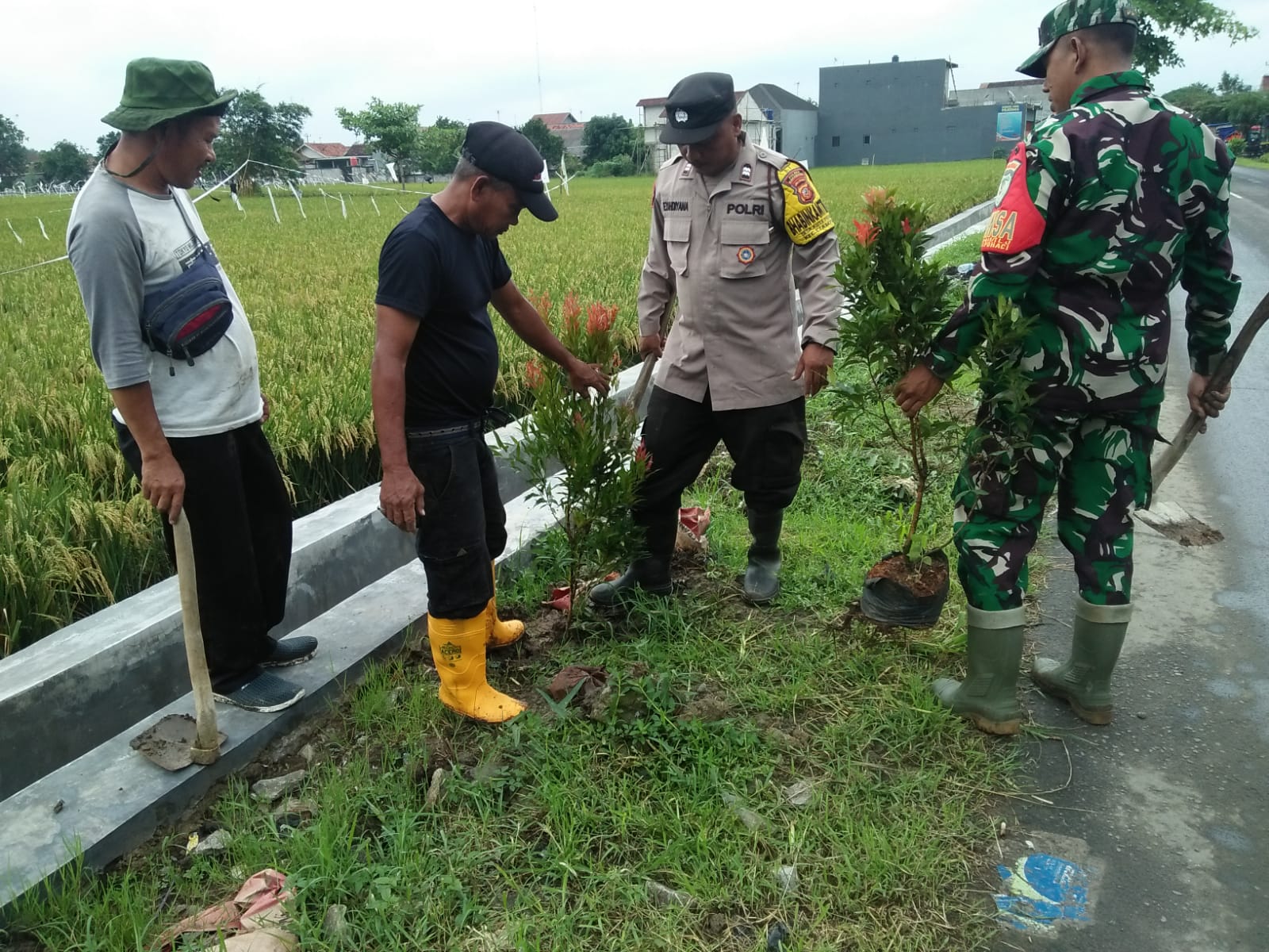 TNI-Polri Bantu Warga Tanam Pohon di Dusun Cikonju, Ciampel