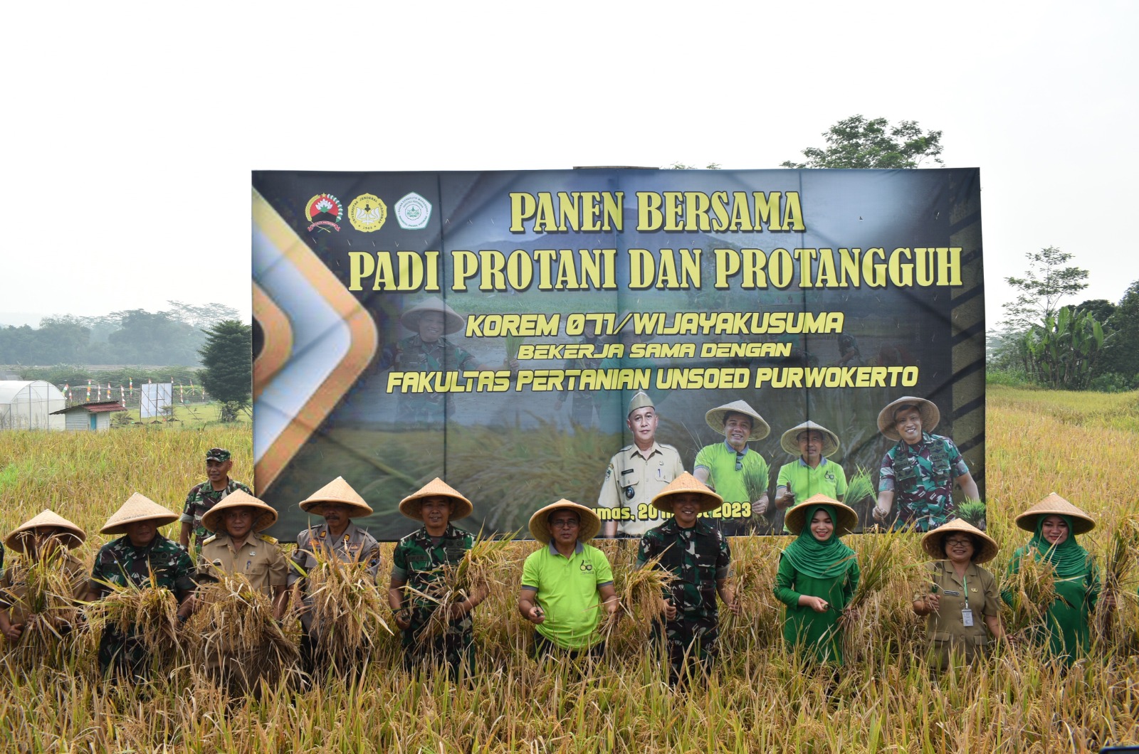 Sinergi Pentahelix Korem Wijayakusuma dan Faperta Unsoed Panen Perdana Padi Protani dan Protangguh Dukung Hanpangan Nasional