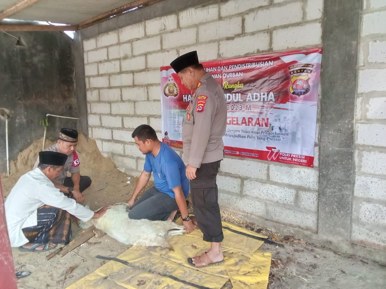 Polsek Pagelaran Laksanakan Penyebelehan Hewan Kurban