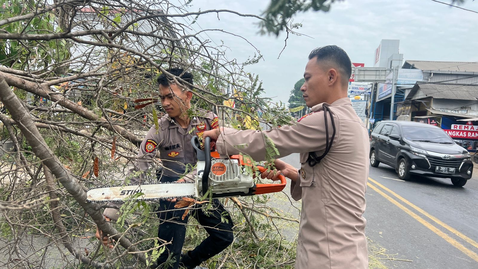 Gerak Cepat, Personel Satsamapta Polres Serang Evakuasi Pohon Tumbang di Jalan Raya
