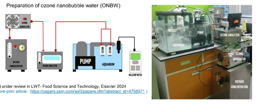 BRIN Kembangkan Teknologi Ozon dan Nanobubble untuk Bahan Pertanian