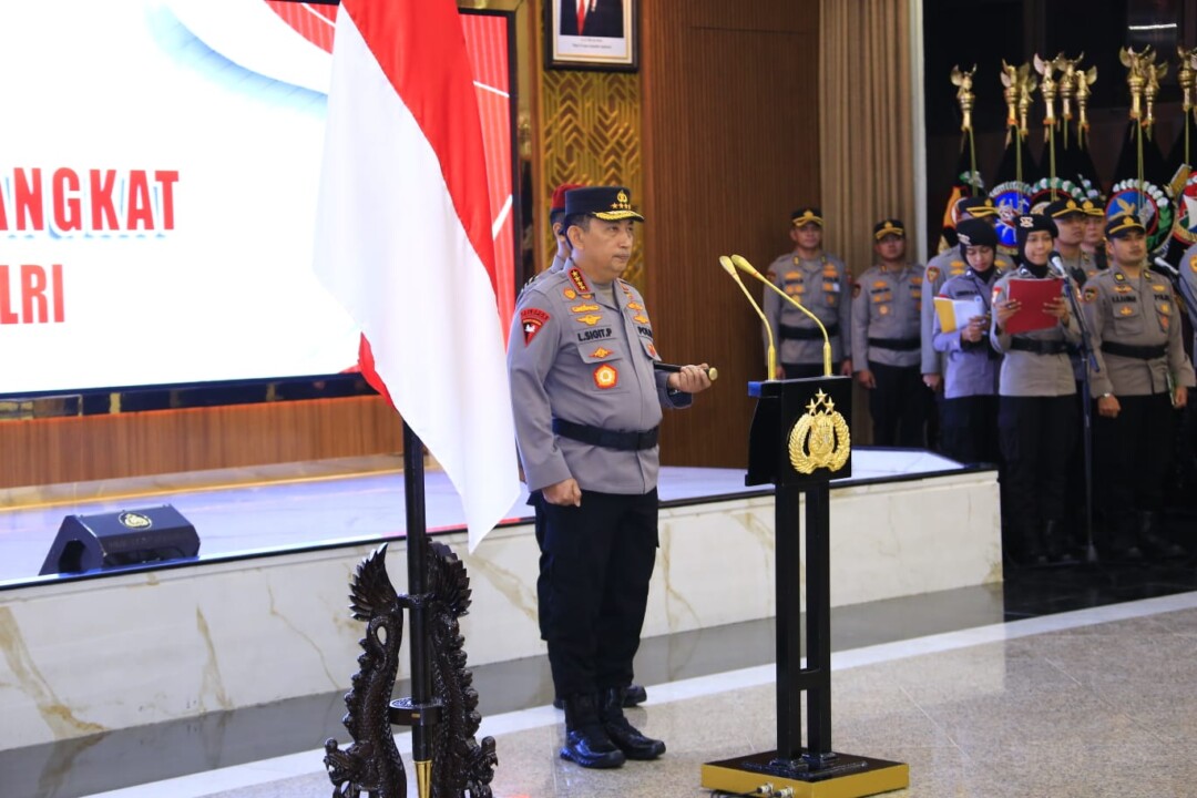IMG 20240815 WA0137