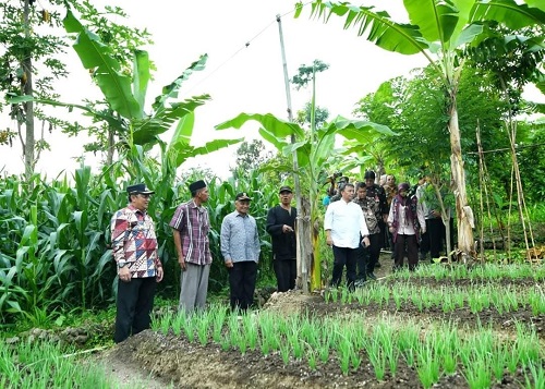 Berita 20250103021931