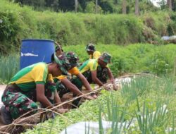 Yonif 303 Kostrad Manfaatkan Lahan Tidur untuk Program Ketahanan Pangan