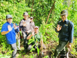 Puluhan Pohon Aren Ditanam, Wujud dan Komitmen Pemkab. Buleleng Jaga Kelestarian Hutan