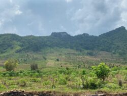 Gerakan Hijaukan Ponorogo Segera Sulap Lahan 11 Hektare di Ngindeng Jadi Hutan Baru