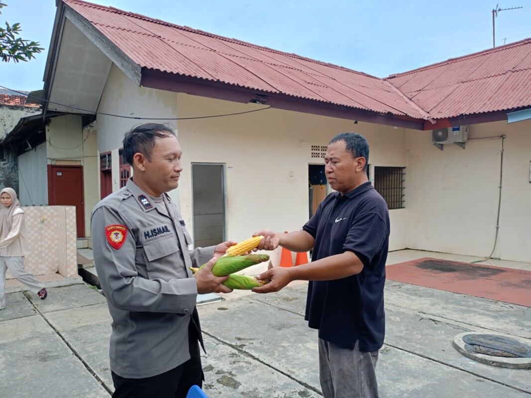 Img 20250314 Wa0186