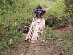 Warga Bambamone Keluhkan Jalan Tani Rusak, Pemerintah di Minta Beri Perhatian