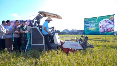 Panen Raya Nasional, Surplus Beras di Sragen Capai 314.301 Ton