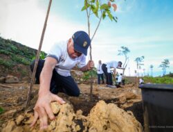 Penanaman Pohon Bersama Keluarga Besar Otorita IKN: Wujud Nyata Komitmen Membangun Kota Hutan