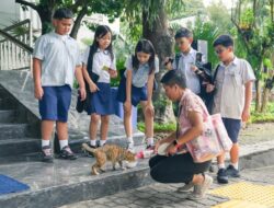 Polemik Rencana Pulau Kucing di Kepulauan Seribu: PSI Minta Pemprov DKI Jakarta Berhenti!
