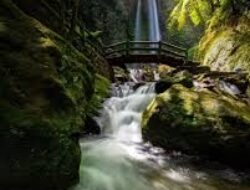 Air Mata Cinta yang Mengalir Abadi: Kisah Dewi Juminten dan Air Terjun Jumog