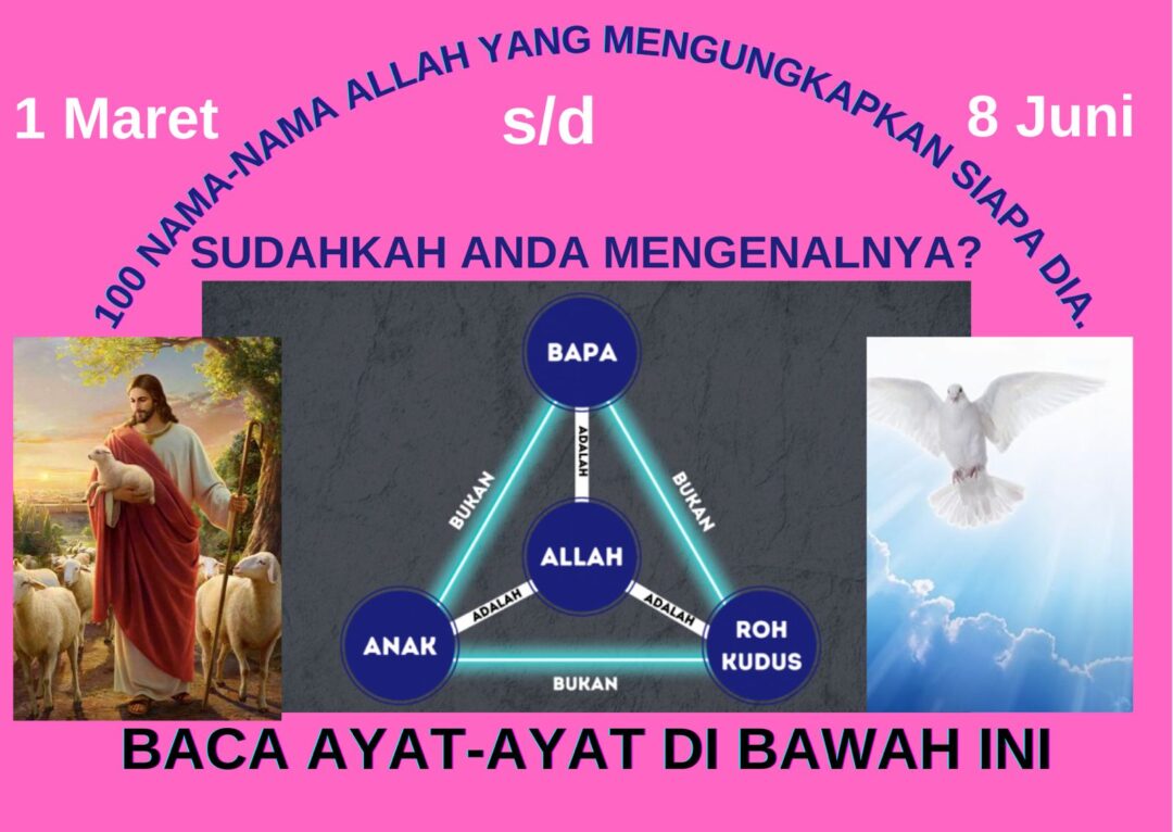 IMG 20250409 WA0009
