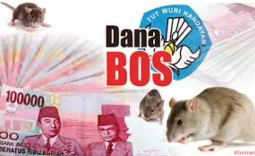 Dugaan Korupsi Dana BOS di Kabupaten Pesisir Barat: Aliansi Peduli Lampung Desak Kejati Bertindak
