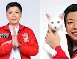 Francine Widjojo: Pulau Tidung Kecil Bukan Tempat Wisata Kucing