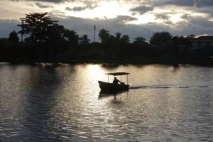 Sunset di Situ Gede Bogor 300x200