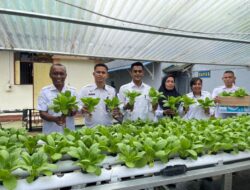 Lumbung di Balik Jeruji: Rutan Ambon Kembali Panen Pakcoy, Bukti Nyata Ketahanan Pangan dan Pemberdayaan Warga Binaan!
