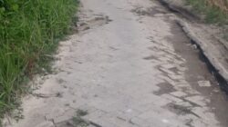 Img 20251103 wa0025