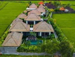Insanis Hospitality: Mengukir Kembali Kemewahan Bali dengan Sentuhan Harmoni yang Tak Tertandingi!
