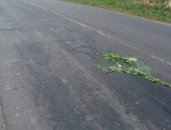Tragedi Tanjakan Umbul Kelapa: Ceceran Solar Ancam Nyawa, Warga Geruduk Pemda Pesawaran!