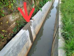 Dugaan Terkesan, Uring-Uringan Pihak Pelaksana Kontraktor Rekanan Proyek Lanjutan Rehabilitas Saluran Sekunder, Di Gampong Paya Bujuk Seuleumak