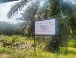 Penertiban Kawasan Hutan di Sungai Daun Disorot, Satgas PKH Dinilai Tak Konsisten