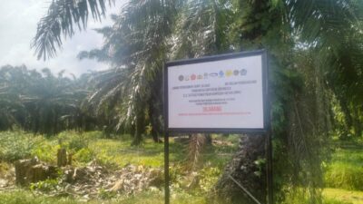 Penertiban Kawasan Hutan di Sungai Daun Disorot, Satgas PKH Dinilai Tak Konsisten