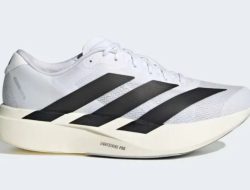 Model adidas Adizero Evo SL