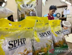 Mulai Maret Hingga Akhir Tahun, Pemerintah Distribusikan Beras SPHP Untuk Jaga Stabilitas Harga