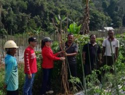 Yonavia Senang Bisa Bantu Petani, Salurkan Bibit dan Pupuk untuk Warga Rejo Basuki