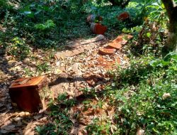 Keluarga Korban Harapkan Kejelasan Penanganan Kasus Pencurian Kayu di Sinonsayang