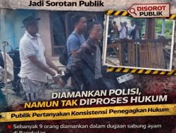 Video Penindakan Viral, Pelepasan 9 Orang di Kasus Dugaan Sabung Ayam Bangkalan Jadi Sorotan