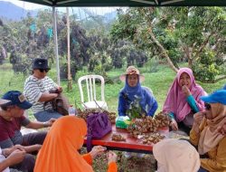 Serunya Belajar di Alam! Kebun Buah Cipatat Jadi Destinasi Edukasi Favorit Keluarga dan Sekolah