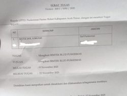 Kapus Pante Bidari Disorot, Dugaan Penerbitan ST SPPD Bidan P3K Paruh Waktu Kian Jadi Perhatian Publik