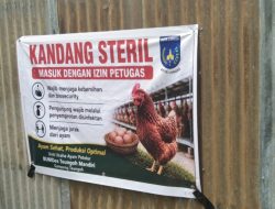 Warga Pertanyakan Dugaan Perizinan dan Dampak Lingkungan Unit Usaha Ayam Petelur BUMDes Gampong Tengoh