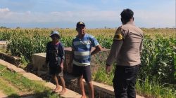 Polisi Turun ke Lahan Jagung di Ketapang, Perkuat Ketahanan Pangan Nasional