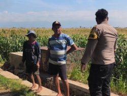 Polisi Turun ke Lahan Jagung di Ketapang, Perkuat Ketahanan Pangan Nasional