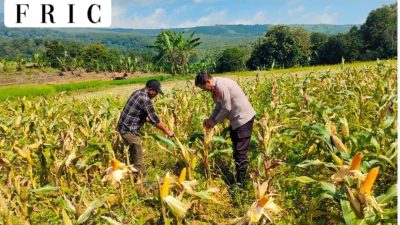 Kawal Swasembada Pangan, Polres Kuningan Turun Ke Ladang Siap Siaga Bersama Petani
