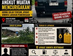 Mobil Panther Berpelat BL 1704 UAS Jadi Sorotan, Dugaan Angkut Solar Bersubsidi Minta Ditelusuri Aparat